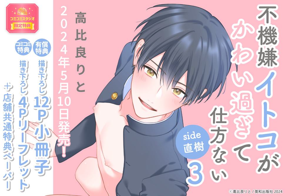 不機嫌イトコがかわい過ぎて仕方ない side直樹（3）【有償特典・小冊子】