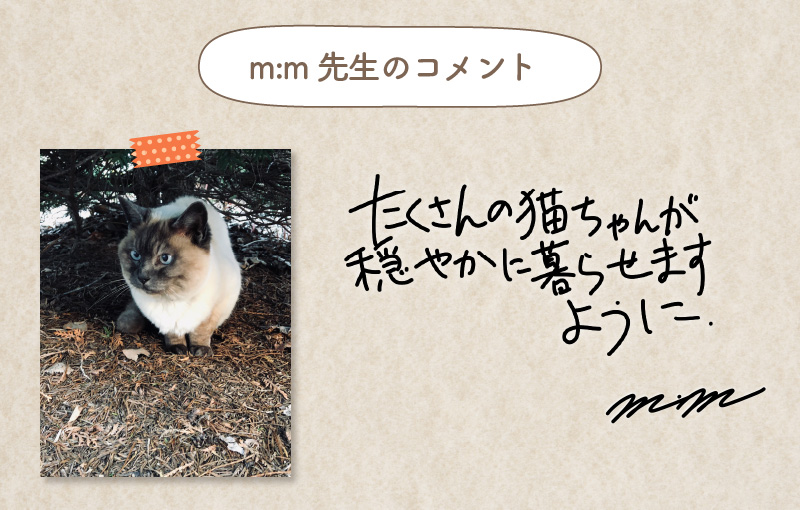 m:m先生コメント