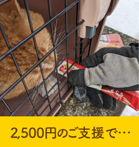 2,500円あれば…