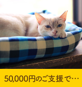 50,000円あれば…