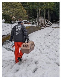 雪の中被災猫の避難をすすめる様子