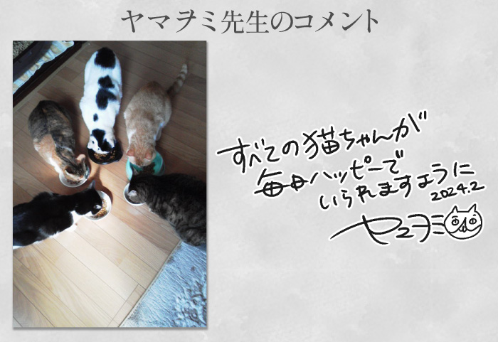 ヤマヲミ先生コメント