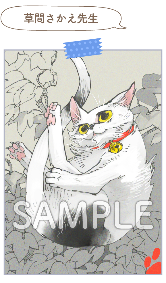 草間さかえ先生1