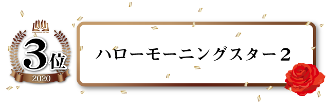 ハローモーニングスター(2)