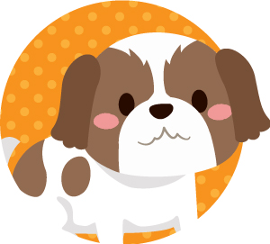 担当スタッフ