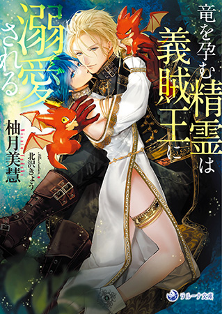 竜を孕む精霊は義賊王に溺愛される