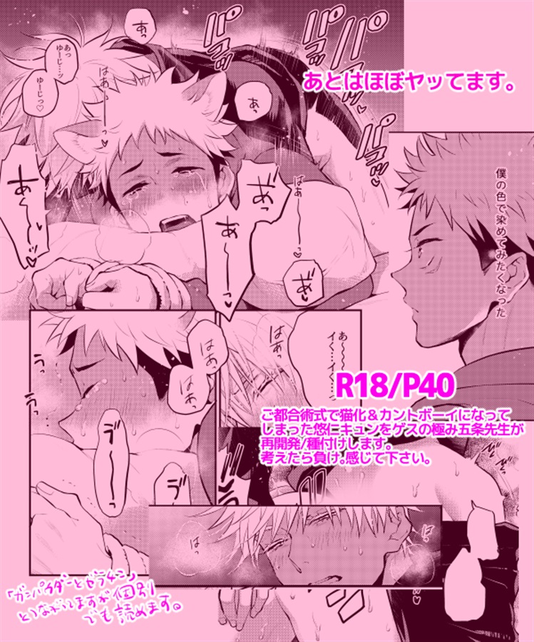 じゃじゃ馬ならし