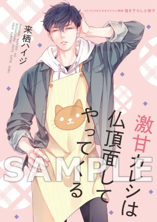 激甘カレシは仏頂面してやってくる【有償特典・小冊子】