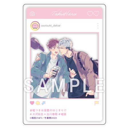 嘘つきは溺愛のはじまり！？【有償特典・SNS風アクリルカード】