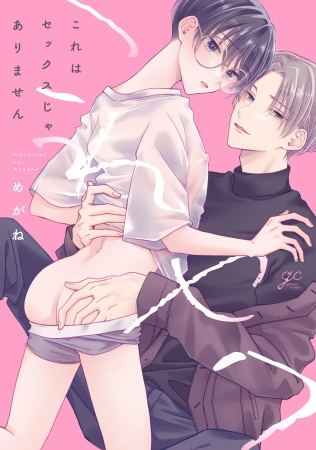 これはセックスじゃありません（単品）
