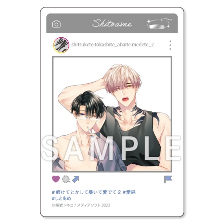 躾けてとかして暴いて愛でて（2）【有償特典・SNS風アクリルカード＋ミニドラマＣＤ】