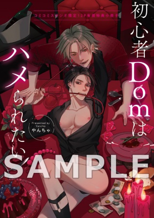 初心者Domはハメられたい【有償特典・小冊子】