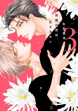 高嶺の花は、乱されたい（3）【有償特典・箔押しA5アクリルボード】