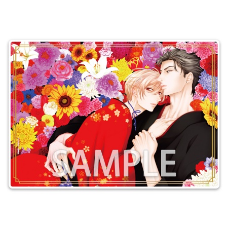 高嶺の花は、乱されたい（3）【有償特典・箔押しA5アクリルボード】