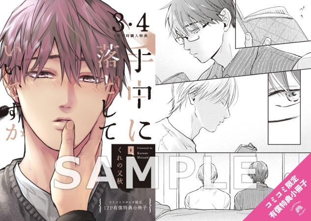 【2冊セット商品】『手中に落としていいですか（3）』+『手中に落としていいですか（4）』【有償特典・12P小冊子】