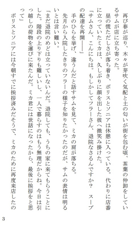 【小説】愛を知らない竜王と秘密の王子　商業番外編