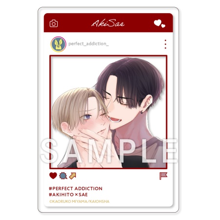 パーフェクトアディクション（2）【有償特典・SNS風アクリルカード】