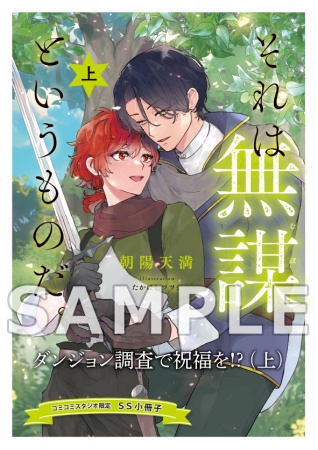 それは無謀というものだ。（上）