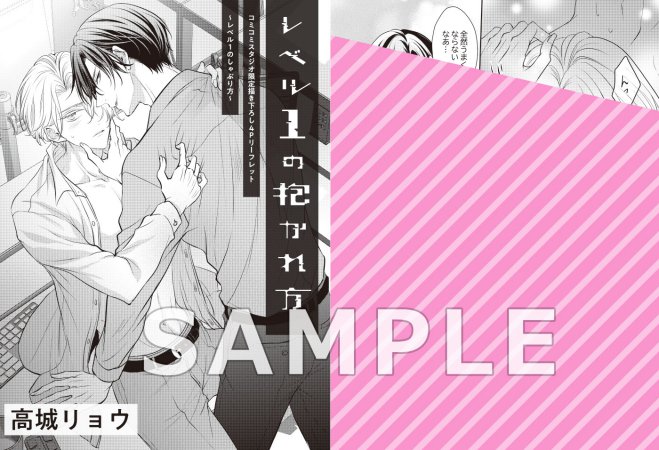 レベル1の抱かれ方 （単品）