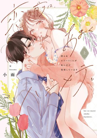恋の前に、あまくハジメテ。 控えめエリートくんが私にだけ発情しています（上）