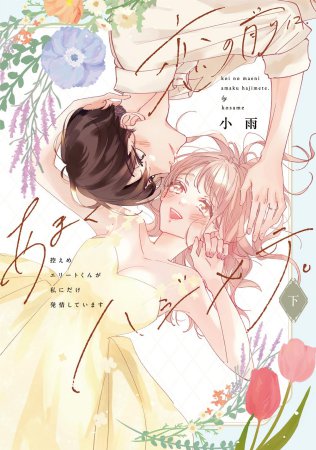 恋の前に、あまくハジメテ。 控えめエリートくんが私にだけ発情しています（下）