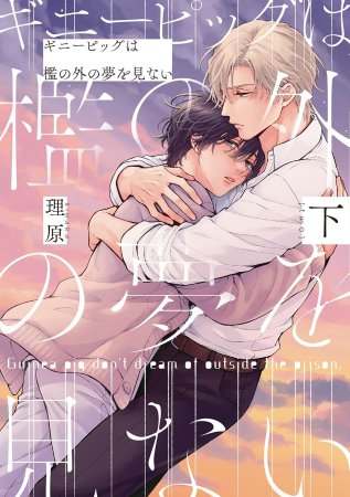 ギニーピッグは檻の外の夢を見ない(下)(単品)