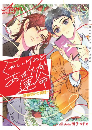 くやしいけれどあなたが運命　～詐欺師との結婚～【有償特典・アクリルコースター】
