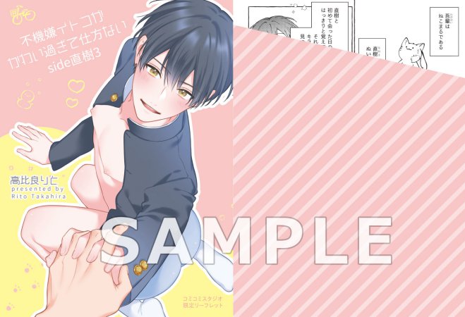 不機嫌イトコがかわい過ぎて仕方ない side直樹（3）【有償特典・小冊子】