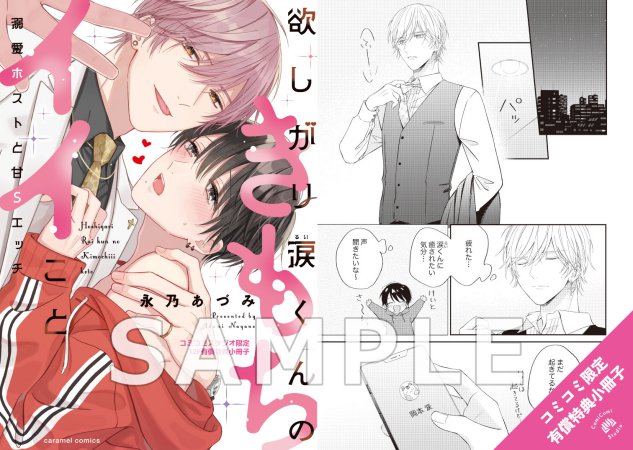 欲しがり涙（るい）くんのきもちイイこと～溺愛ホストと甘Sエッチ【有償特典・小冊子】