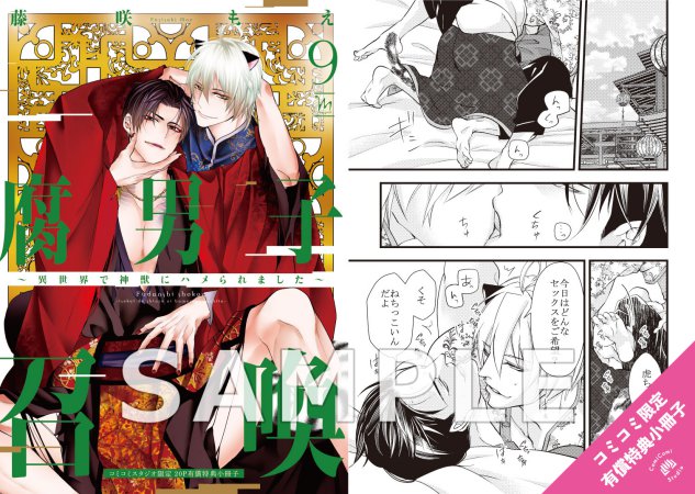 腐男子召喚～異世界で神獣にハメられました～（9）通常版【有償特典・小冊子】