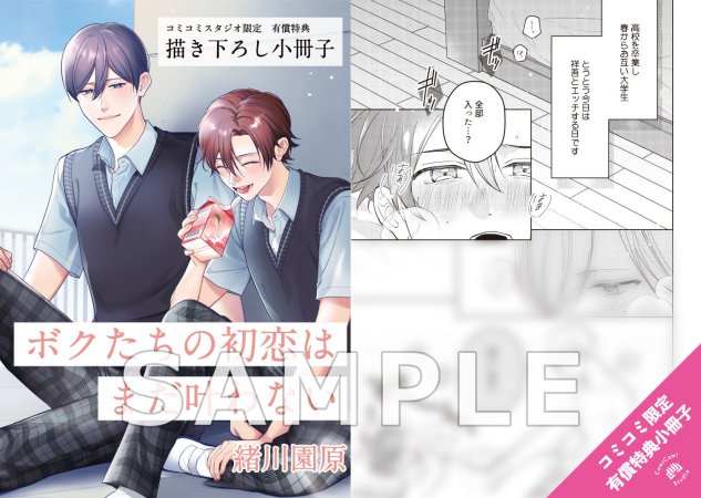 ボクたちの初恋はまだ叶わない【有償特典・小冊子】