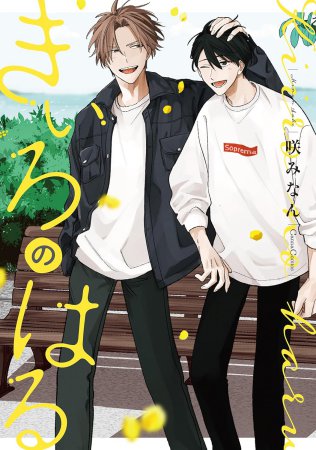 きいろのはる（単品）