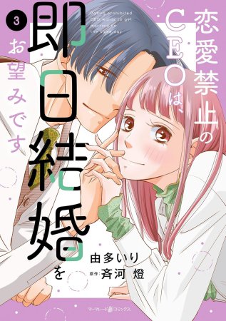 恋愛禁止のCEOは、即日結婚をお望みです（3）