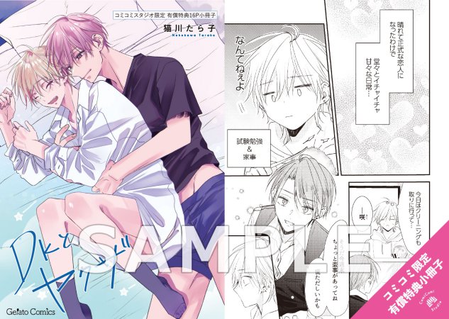DKとヤクザ（3）【有償特典・小冊子】