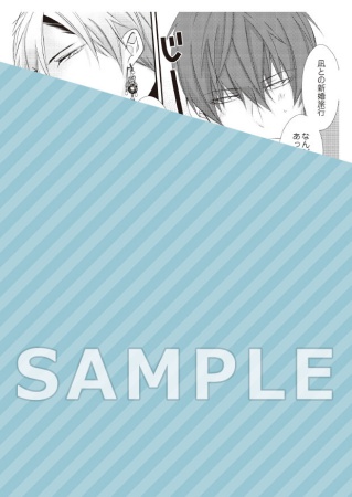 ドラマＣＤ 「腐男子召喚～異世界で神獣にハメられました～」第２巻