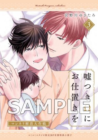嘘つきΩにお仕置きを（3）【有償特典・小冊子】