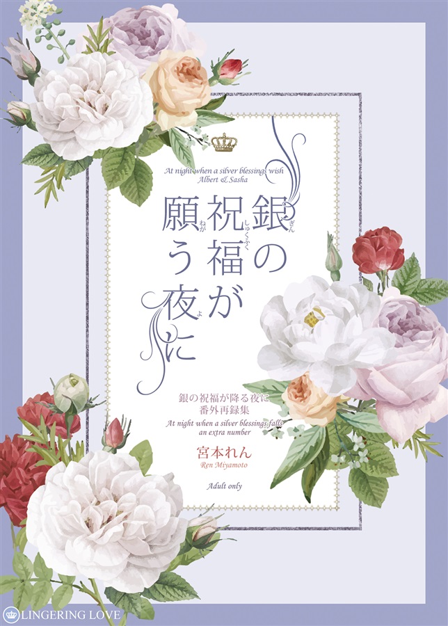 銀の祝福が願う夜に
