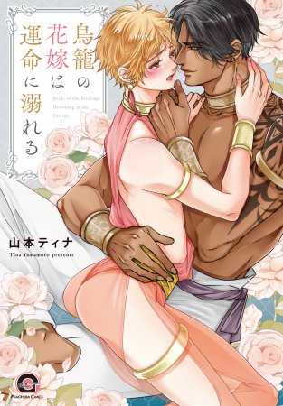 鳥籠の花嫁は運命に溺れる【有償特典・小冊子】