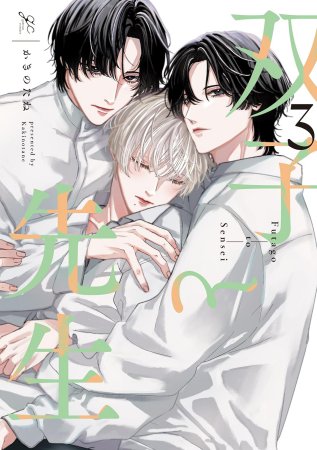 双子と先生（3）（単品）
