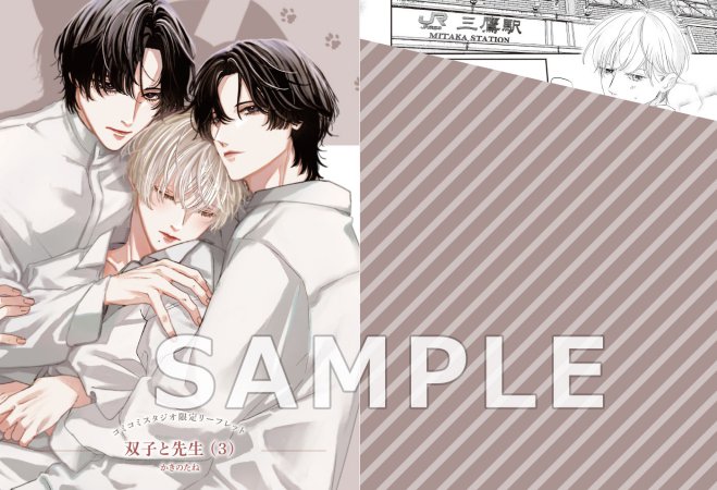 双子と先生（3）（単品）