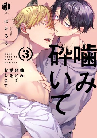 噛み砕いて愛をおしえて（3）通常版（単品）