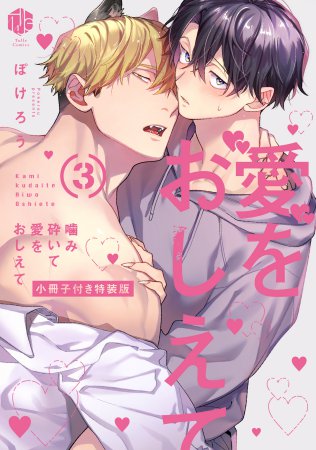 噛み砕いて愛をおしえて（3）小冊子付き特装版（単品）