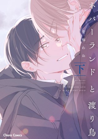 ネバーランドと渡り鳥（下）（単品）