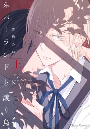ネバーランドと渡り鳥（上）（単品）