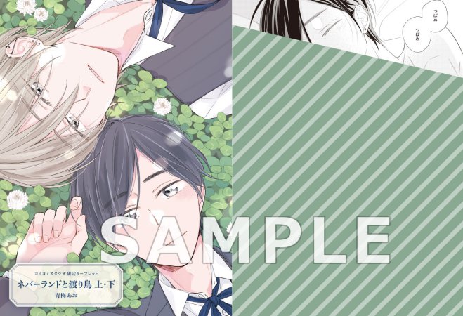【2冊セット商品】『ネバーランドと渡り鳥（上）＋（下）』