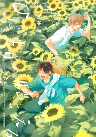ひだまりが聴こえる―春夏秋冬―（4）（単品）