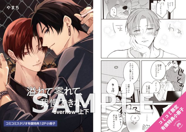 【2冊セット商品】『溢れて零れて、我慢できない overflow（上）＋（下）』【2冊セット有償特典・ 小冊子】