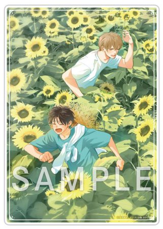ひだまりが聴こえる―春夏秋冬―（4）【有償特典・A5アクリルボード】
