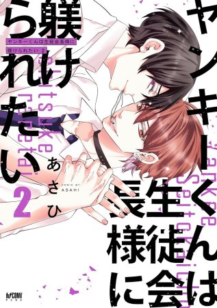 ヤンキーくんは生徒会長様に躾けられたい（2）