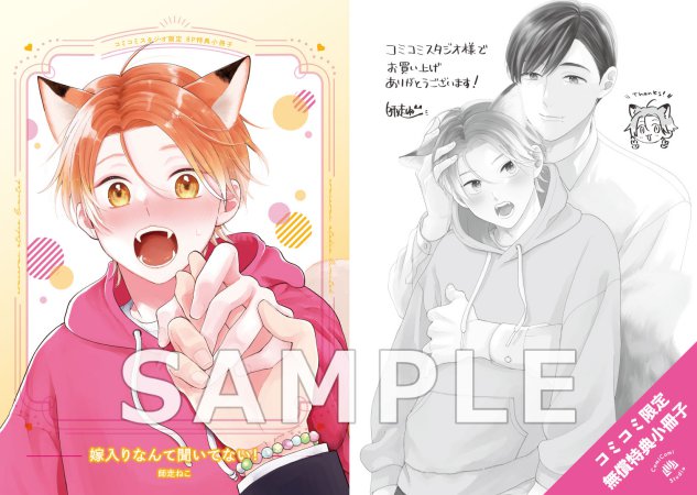 嫁入りなんて聞いてない！【「BaLmyコミックス１周年フェア」・対象商品】